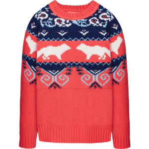 Sweater Colorful